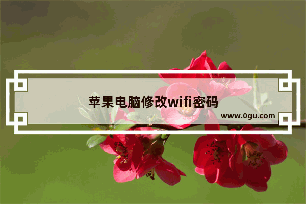 苹果电脑修改wifi密码