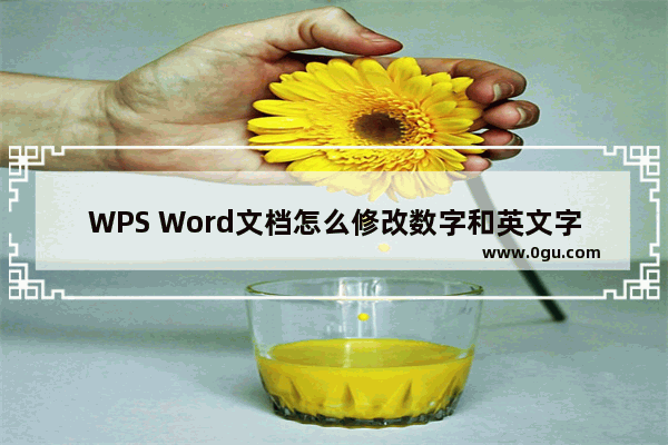 WPS Word文档怎么修改数字和英文字体 WPS Word文档替换西文字体的方法