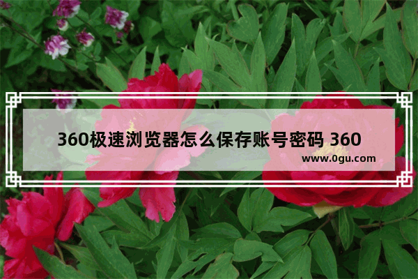 360极速浏览器怎么保存账号密码 360极速浏览器保存账号密码的方法