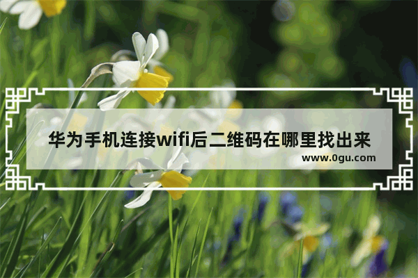 华为手机连接wifi后二维码在哪里找出来