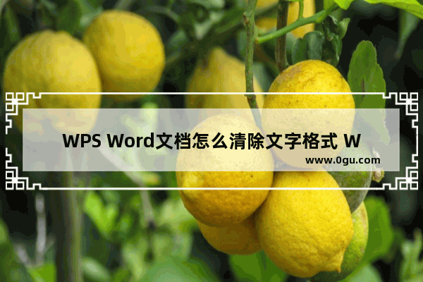 WPS Word文档怎么清除文字格式 WPS Word文档清除文字格式的方法