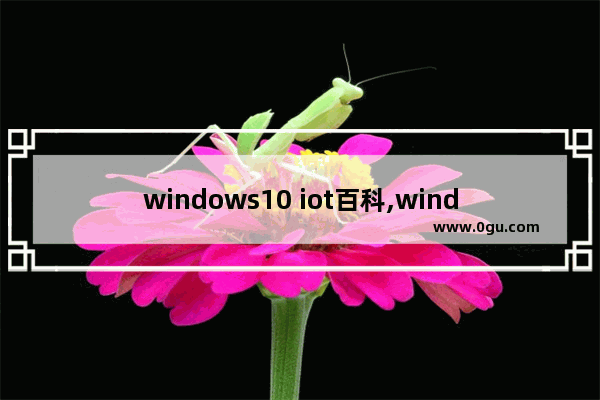 windows10 iot百科,windows 10 iot core对硬件的要求