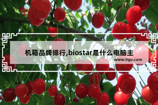 机箱品牌排行,biostar是什么电脑主机品牌