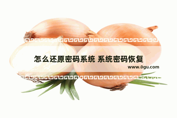 怎么还原密码系统 系统密码恢复