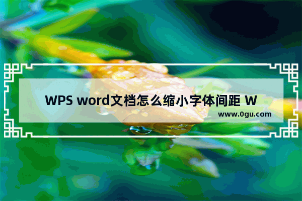 WPS word文档怎么缩小字体间距 WPS word文档缩小字体间距方法