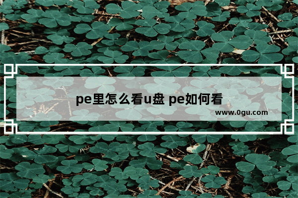 pe里怎么看u盘 pe如何看