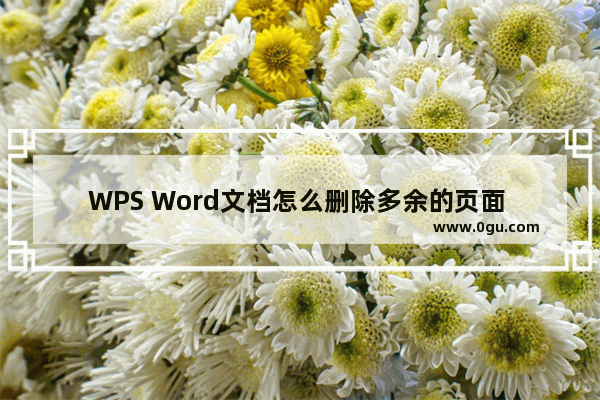 WPS Word文档怎么删除多余的页面 WPS Word文档删除多余的页面的方法