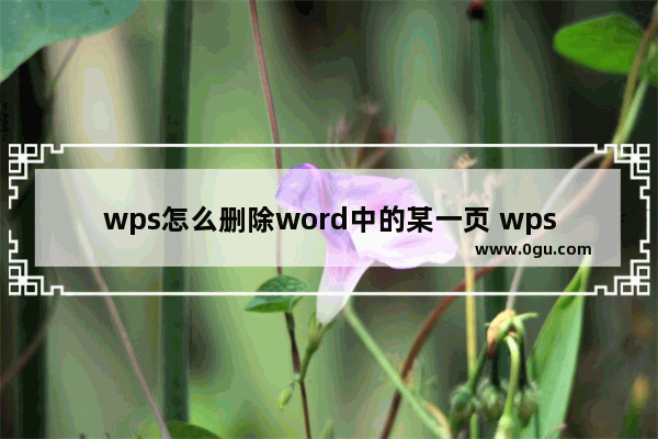 wps怎么删除word中的某一页 wps删除word中的某一页方法