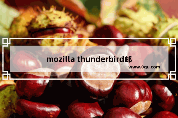 mozilla thunderbird邮箱如何设置签名 mozilla thunderbird邮箱设置签名的方法