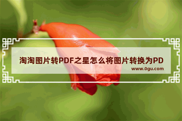 淘淘图片转PDF之星怎么将图片转换为PDF 淘淘图片转PDF之星的使用方法