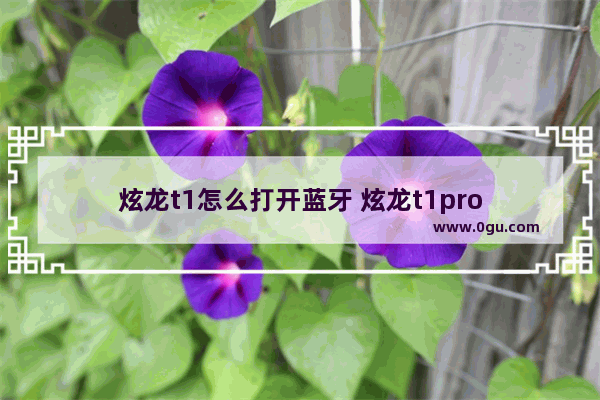 炫龙t1怎么打开蓝牙 炫龙t1pro