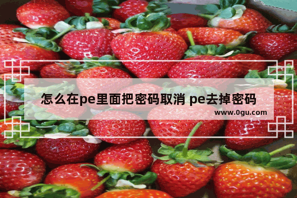 怎么在pe里面把密码取消 pe去掉密码