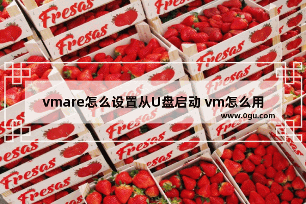 vmare怎么设置从U盘启动 vm怎么用u盘启动