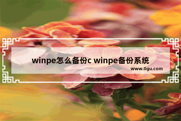 winpe怎么备份c winpe备份系统教程