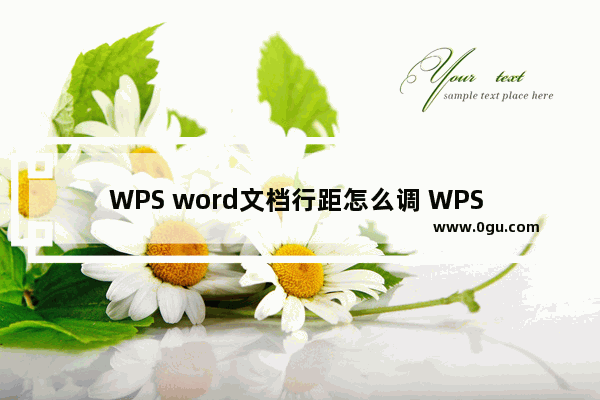 WPS word文档行距怎么调 WPS word文档行距调整方法