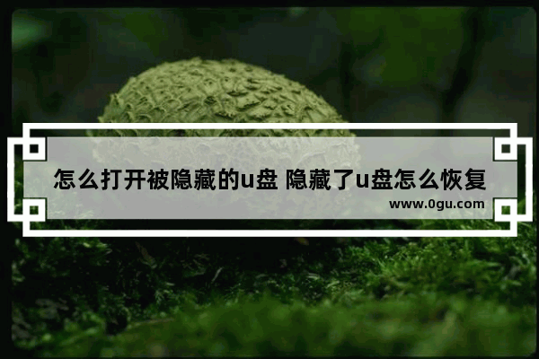 怎么打开被隐藏的u盘 隐藏了u盘怎么恢复