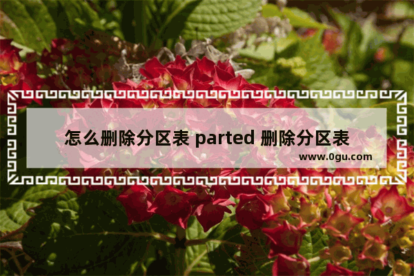 怎么删除分区表 parted 删除分区表