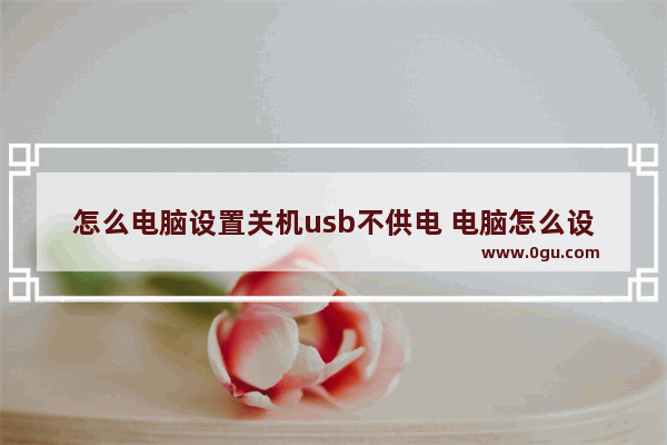 怎么电脑设置关机usb不供电 电脑怎么设置关机后usb口断电