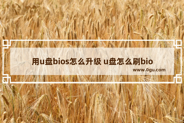 用u盘bios怎么升级 u盘怎么刷bios