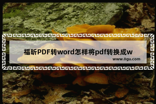 福昕PDF转word怎样将pdf转换成word 福昕PDF转word将pdf转换成word方法