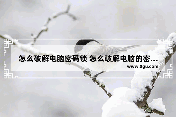 怎么破解电脑密码锁 怎么破解电脑的密码是什么