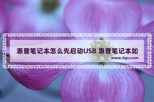 惠普笔记本怎么先启动USB 惠普笔记本如何选择usb启动