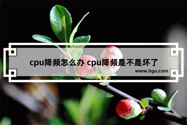 cpu降频怎么办 cpu降频是不是坏了