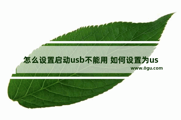 怎么设置启动usb不能用 如何设置为usb启动