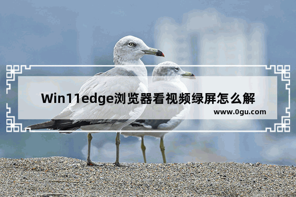 Win11edge浏览器看视频绿屏怎么解决