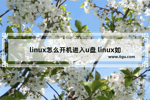 linux怎么开机进入u盘 linux如何开机