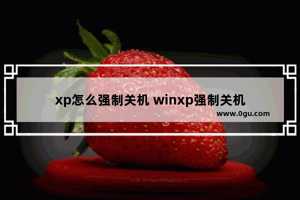 xp怎么强制关机 winxp强制关机