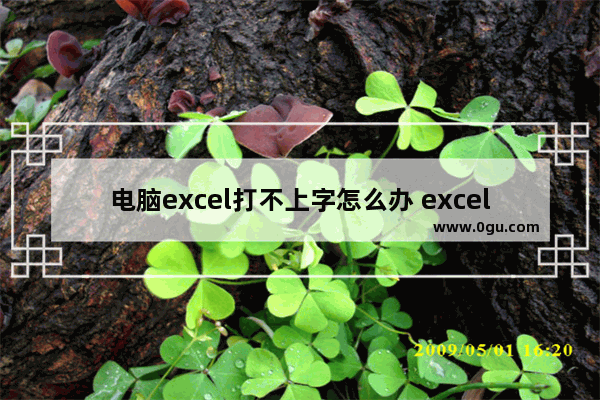 电脑excel打不上字怎么办 excel打字打不进去怎么回事