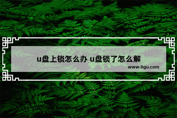 u盘上锁怎么办 u盘锁了怎么解