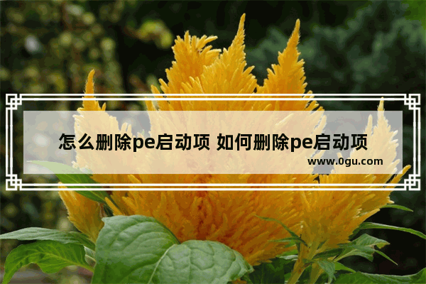 怎么删除pe启动项 如何删除pe启动项