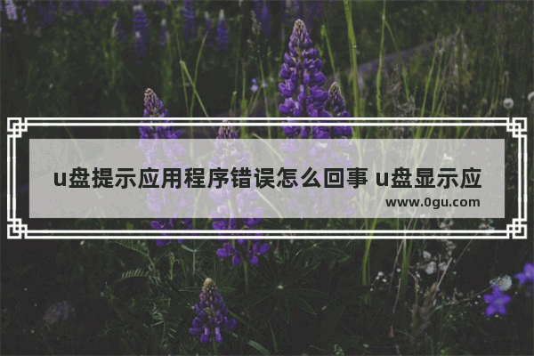 u盘提示应用程序错误怎么回事 u盘显示应用程序没有响应是怎么回事