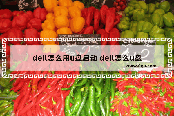 dell怎么用u盘启动 dell怎么u盘启动电脑