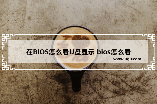 在BIOS怎么看U盘显示 bios怎么看u盘没显示u盘怎么办