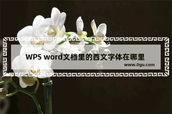 WPS word文档里的西文字体在哪里 WPS word文档如何查看西文字体