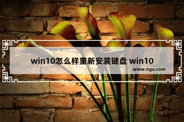 win10怎么样重新安装键盘 win10怎么样重新安装键盘系统