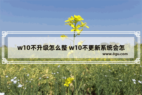 w10不升级怎么整 w10不更新系统会怎样