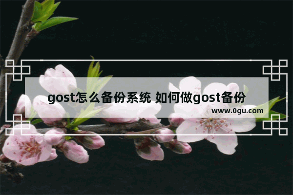 gost怎么备份系统 如何做gost备份