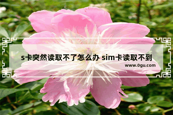 s卡突然读取不了怎么办 sim卡读取不到怎么办