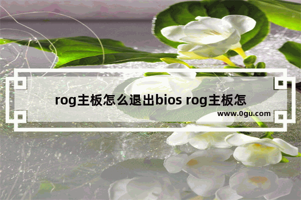 rog主板怎么退出bios rog主板怎么退出bios界面