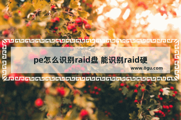 pe怎么识别raid盘 能识别raid硬盘的pe