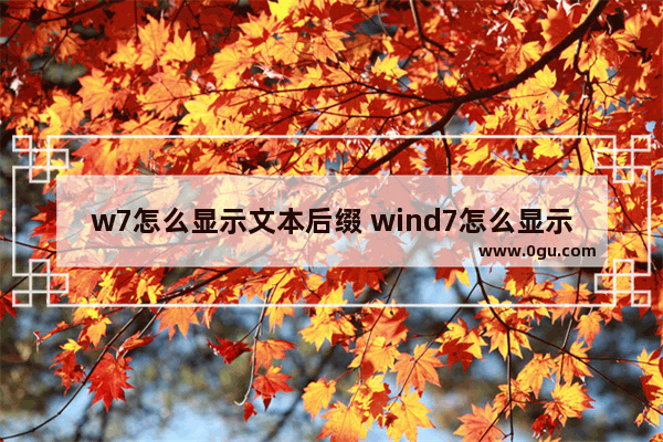 w7怎么显示文本后缀 wind7怎么显示文件后缀