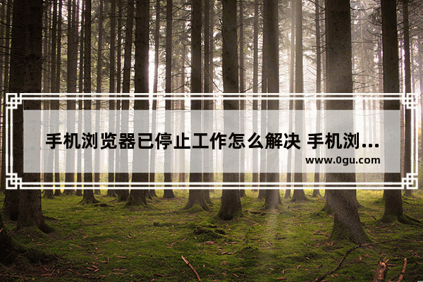 手机浏览器已停止工作怎么解决 手机浏览器停止运行怎么恢复正常