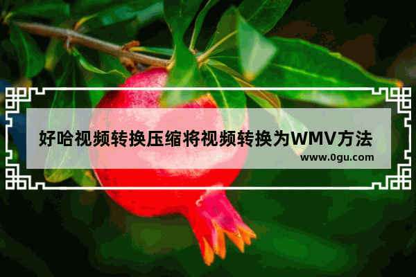 好哈视频转换压缩将视频转换为WMV方法 好哈视频转换压缩如何将视频转换为WMV