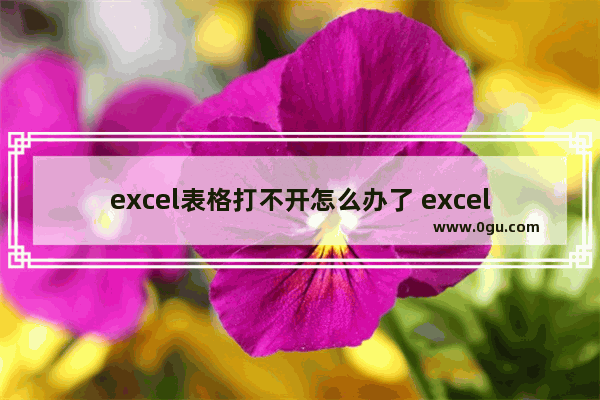 excel表格打不开怎么办了 excel表格打不开了是怎么回事