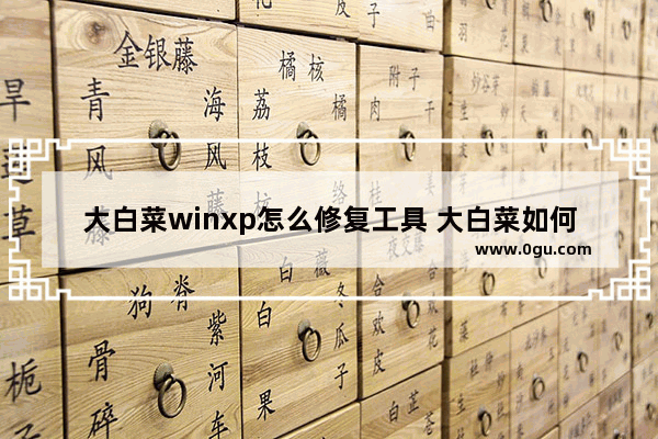 大白菜winxp怎么修复工具 大白菜如何修复win10系统