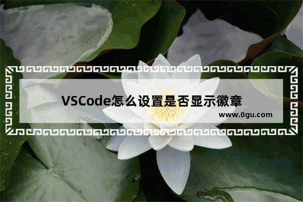 VSCode怎么设置是否显示徽章